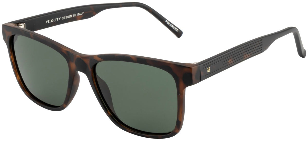 Velocity SVC 5279T Wayfarer Sunglasses - C4